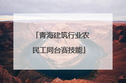 青海建筑行业农民工同台赛技能