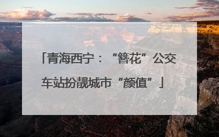 青海西宁：“簪花”公交车站扮靓城市“颜值”