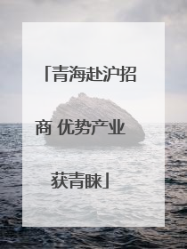 青海赴沪招商 优势产业获青睐