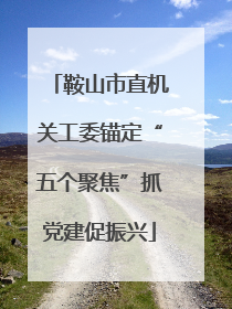 鞍山市直机关工委锚定“五个聚焦”抓党建促振兴