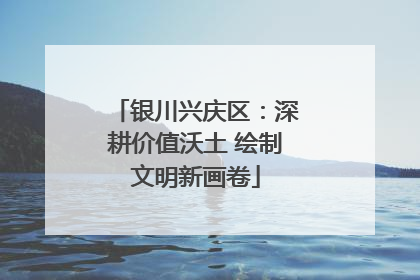 银川兴庆区：深耕价值沃土 绘制文明新画卷