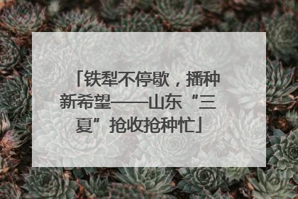 铁犁不停歇，播种新希望——山东“三夏”抢收抢种忙