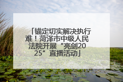 锚定切实解决执行难！菏泽市中级人民法院开展“亮剑2025”直播活动
