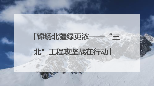 锦绣北疆绿更浓——“三北”工程攻坚战在行动