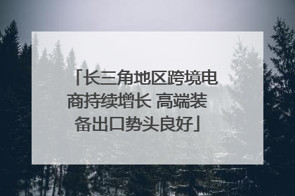 长三角地区跨境电商持续增长 高端装备出口势头良好