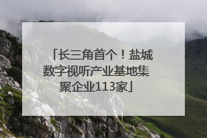 长三角首个！盐城数字视听产业基地集聚企业113家