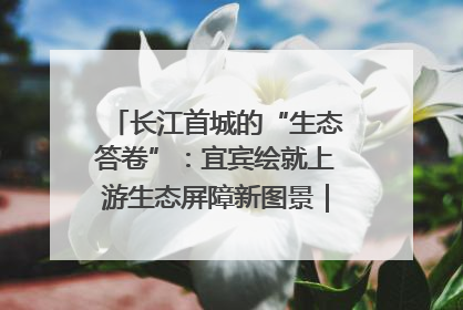 长江首城的“生态答卷”：宜宾绘就上游生态屏障新图景｜中华环保世纪行
