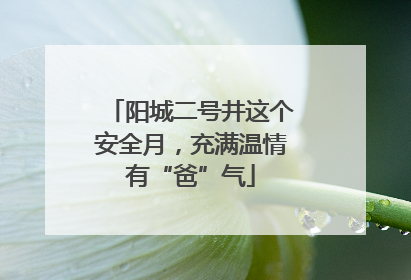 阳城二号井这个安全月，充满温情有“爸”气