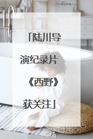 陆川导演纪录片《西野》获关注