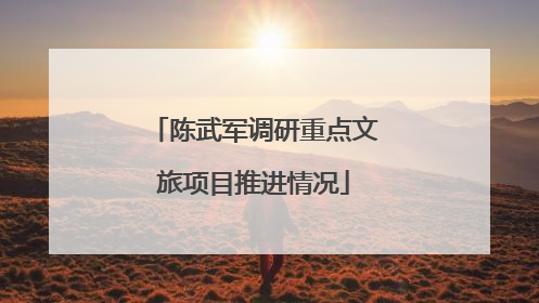 陈武军调研重点文旅项目推进情况