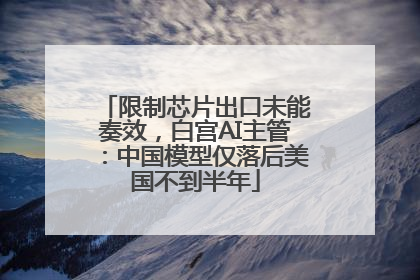 限制芯片出口未能奏效，白宫AI主管：中国模型仅落后美国不到半年