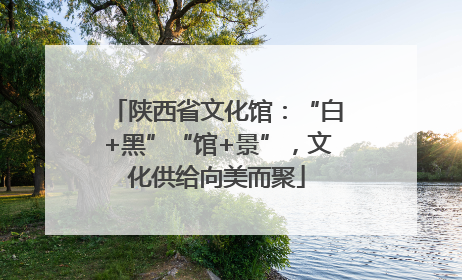 陕西省文化馆：“白+黑”“馆+景”，文化供给向美而聚