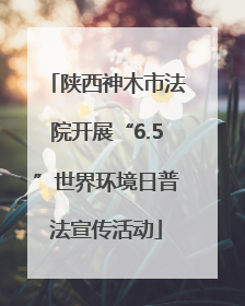 陕西神木市法院开展“6.5”世界环境日普法宣传活动