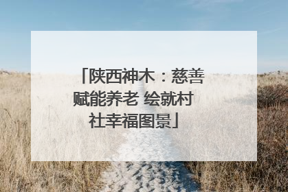 陕西神木：慈善赋能养老 绘就村社幸福图景