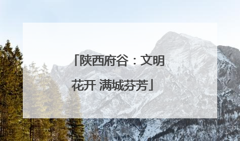 陕西府谷：文明花开 满城芬芳
