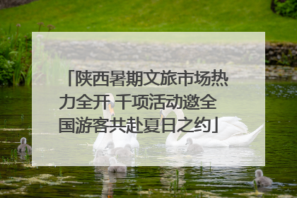 陕西暑期文旅市场热力全开 千项活动邀全国游客共赴夏日之约