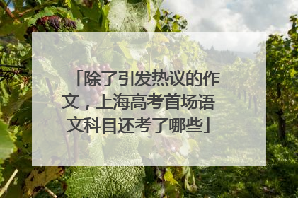 除了引发热议的作文，上海高考首场语文科目还考了哪些