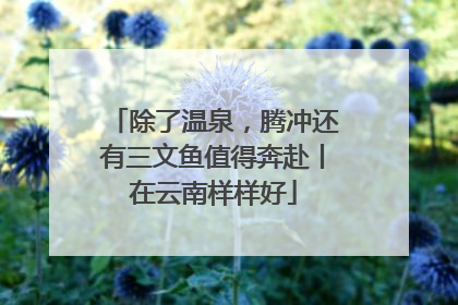 除了温泉，腾冲还有三文鱼值得奔赴丨在云南样样好