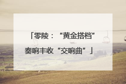 零陵：“黄金搭档”奏响丰收“交响曲”