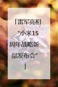 雷军亮相“小米15周年战略新品发布会”