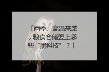 雨季、高温来袭，粮食仓储要上哪些“黑科技”？