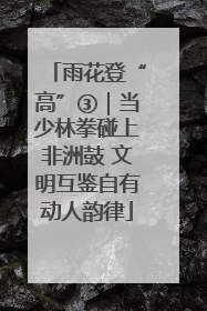 雨花登“高”③｜当少林拳碰上非洲鼓 文明互鉴自有动人韵律