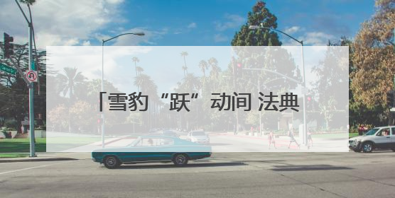 雪豹“跃”动间 法典润民心——2025年青海省民法典宣传月（西宁地区）主场活动见闻