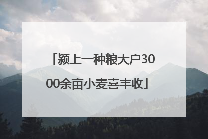 颍上一种粮大户3000余亩小麦喜丰收
