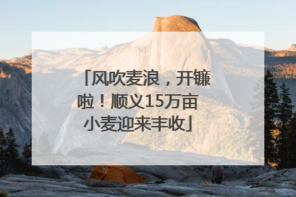 风吹麦浪，开镰啦！顺义15万亩小麦迎来丰收