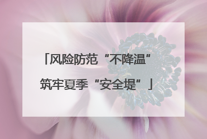 风险防范“不降温” 筑牢夏季“安全堤”