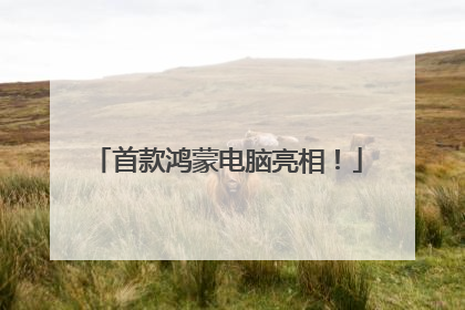 首款鸿蒙电脑亮相！