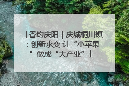 香约庆阳｜庆城桐川镇：创新求变 让“小苹果”做成“大产业”