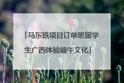 马东铁项目订单班留学生广西体验端午文化