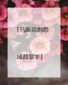 马斯克抱怨成替罪羊