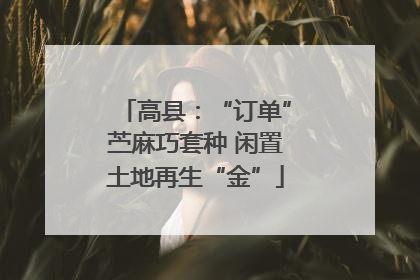 高县：“订单”苎麻巧套种 闲置土地再生“金”