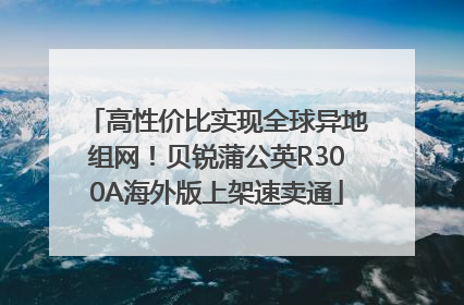 高性价比实现全球异地组网！贝锐蒲公英R300A海外版上架速卖通