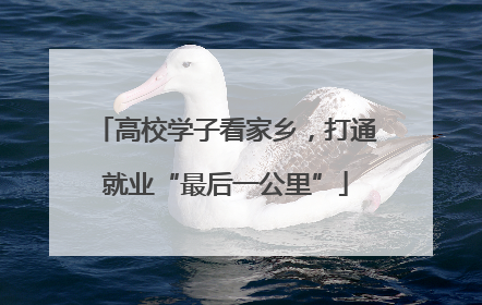 高校学子看家乡，打通就业“最后一公里”