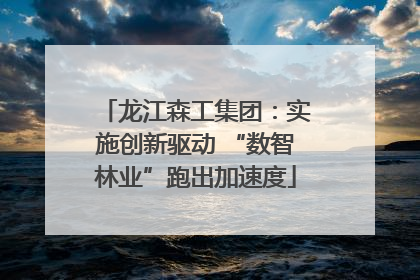 龙江森工集团：实施创新驱动 “数智林业”跑出加速度