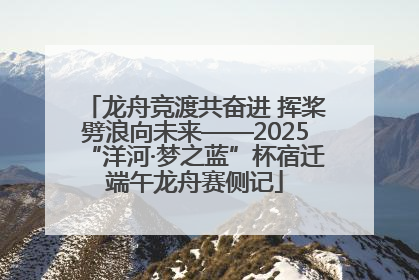 龙舟竞渡共奋进 挥桨劈浪向未来——2025“洋河·梦之蓝”杯宿迁端午龙舟赛侧记