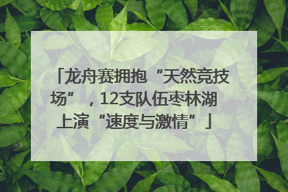 龙舟赛拥抱“天然竞技场”，12支队伍枣林湖上演“速度与激情”