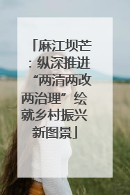 麻江坝芒：纵深推进“两清两改两治理”绘就乡村振兴新图景