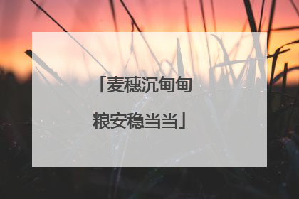 麦穗沉甸甸 粮安稳当当