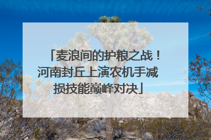 麦浪间的护粮之战！河南封丘上演农机手减损技能巅峰对决