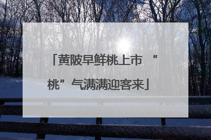 黄陂早鲜桃上市 “桃”气满满迎客来
