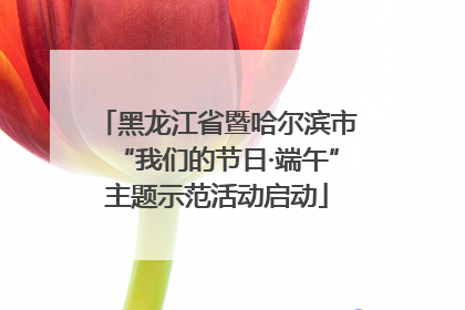 黑龙江省暨哈尔滨市“我们的节日·端午”主题示范活动启动