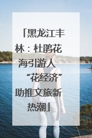 黑龙江丰林：杜鹃花海引游人 “花经济”助推文旅新热潮