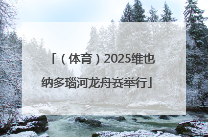 （体育）2025维也纳多瑙河龙舟赛举行
