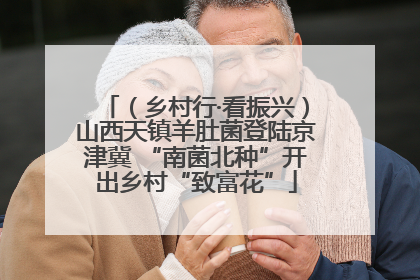 （乡村行·看振兴）山西天镇羊肚菌登陆京津冀 “南菌北种”开出乡村“致富花”