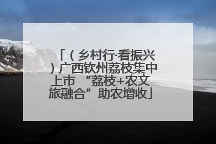 （乡村行·看振兴）广西钦州荔枝集中上市 “荔枝+农文旅融合”助农增收