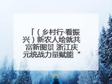 （乡村行·看振兴）新农人绘就共富新图景 浙江庆元统战力量赋能“海拔经济”